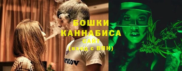 ешки Долгопрудный